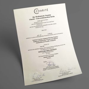 Charité – Universitätsmedizin Berlin pdf urkunde diplom master bachelor