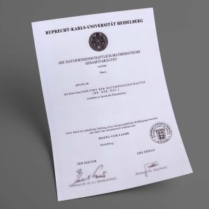 Universität Heidelberg pdf urkunde diplom master bachelor